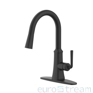 Paramous Single handle pull-down kitchen faucet