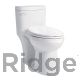 WaterRidge Single Flush One Piece Toilet