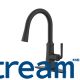 Paramous Single handle pull-down kitchen faucet